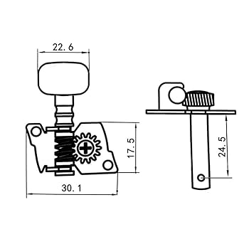 Waverly チューニングマシンセット 4063 Amazon.com: BQLZR Gold-Plated 2R2L Tuning Peg Machine Head